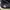 Timberland Sportswear Sneakers Pria navy photo 4