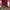 Luxury Casual Evening Dress Wanita Burgundy Red