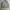 MLB Streetwear Y2K Sweater Pria gray photo 1