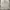 Japanese brand Streetwear Biker Denim jacket Pria cream photo 1