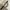 Vintage Casual Pria silver black photo 1