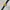 Calvin Klein Vintage Casual Pria gold black photo 4
