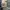 Dickies Vintage Indie Brief Pria blue photo 3