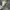 Dickies Vintage Indie Brief Pria blue photo 4