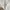 Vintage Casual Wanita silver white photo 3