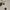 Calvin Klein Streetwear Y2K Polo shirt Pria white photo 4