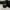 Vintage Formal pants Pria black photo 3