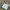 Issey Miyake Vintage Avant Garde Cardigan Pria tan photo 5