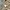 Issey Miyake Vintage Avant Garde Cardigan Pria tan photo 4