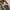 Nike Streetwear Casual Sneakers Pria multicolor photo 4