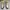 Nike Streetwear Casual Sneakers Pria multicolor photo 1