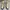 Nike Streetwear Casual Sneakers Pria Multicolor