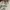 Nike Streetwear Casual Sneakers Pria multicolor photo 3