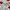 Billabong Vintage Sportswear Short Pria multicolor photo 4