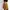 Guess Vintage Y2K Skirt Wanita brown photo 2