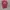 Thisisneverthat Avant Garde T-shirt Pria Red