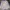 MLB Streetwear Sportswear Sweatshirt Pria multicolor photo 3