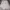 MLB Streetwear Sportswear Sweatshirt Pria multicolor photo 1