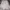 MLB Streetwear Sportswear Sweatshirt Pria Multicolor