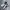 Puma Streetwear Sneakers Pria white black photo 1