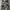 Nike Streetwear Casual Hoody Pria white black photo 5