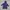 Sportswear Windbreaker Kids navy photo 2