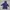 Sportswear Windbreaker Kids Navy