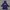 Sportswear Windbreaker Kids navy photo 6