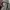 MLB Streetwear Casual Sweatshirt Pria gray photo 5