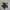Puma Sportswear Windbreaker Kids black gray photo 1