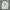 Vintage Streetwear T-shirt Pria white green photo 1