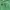 Casual Hoody Pria green photo 2