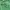 Casual Hoody Pria Green