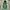 Casual Hoody Pria green photo 1