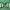 Casual Hoody Pria green photo 4