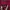 Nike Streetwear Casual Windbreaker Pria red photo 3