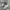 New Balance Streetwear Sneakers Wanita silver photo 1