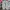 Nike Casual Sneakers Wanita white gray photo 5