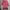 Casual Sweatshirt Wanita burgundy red photo 1