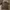 Burberry Y2K Casual Polo shirt Pria gray photo 1