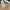 ZARA Streetwear Casual shirt Pria multicolor photo 6