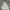 Champion Vintage Hoody Pria gray photo 1