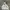 Champion Vintage Hoody Pria gray photo 2