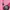 Burberry Sportswear Casual Wanita Pink