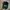 Carhartt Vintage Streetwear Hat Pria black photo 5