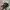 Carhartt Vintage Streetwear Hat Pria black photo 1