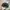Carhartt Vintage Streetwear Hat Pria black photo 4