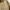 Tommy Hilfiger Casual Harrington jacket Pria tan cream photo 5