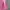VANS Sportswear Casual T-shirt Pria pink photo 4