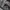Streetwear Bag Pria multicolor black photo 4
